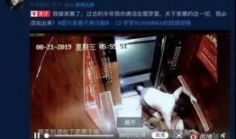 网红被网友爆料视频,揭秘网络红人的真实一面